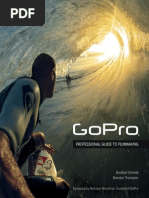 Download GoPRO by Jose Teles SN273119013 doc pdf