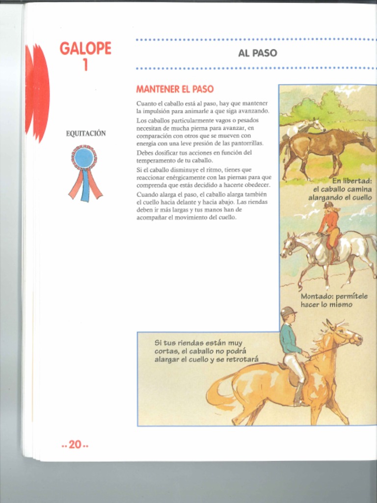 es.scribd.com
