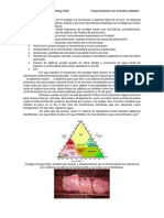 La Experiencia de Mi Trabajo Me Ha Llevado a Distintos Tipos de Terreno