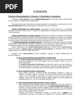 Dto Constitucional 2 Semestre