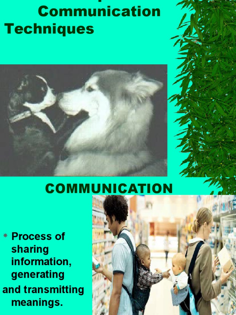 Therapeutic Communication Techniques PDF Nonverbal Communication