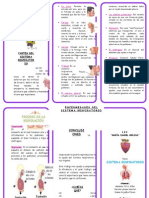 Triptico Del Sistema Respiratorio