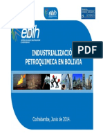 Industrializacion Petroquimica Bolivia