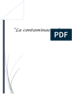 Proyecto Contaminacion PDF