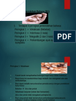 Tahap Perkembangan Bahasa