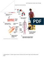 Lab Pengenalan Anatomi Dan Fisiologi