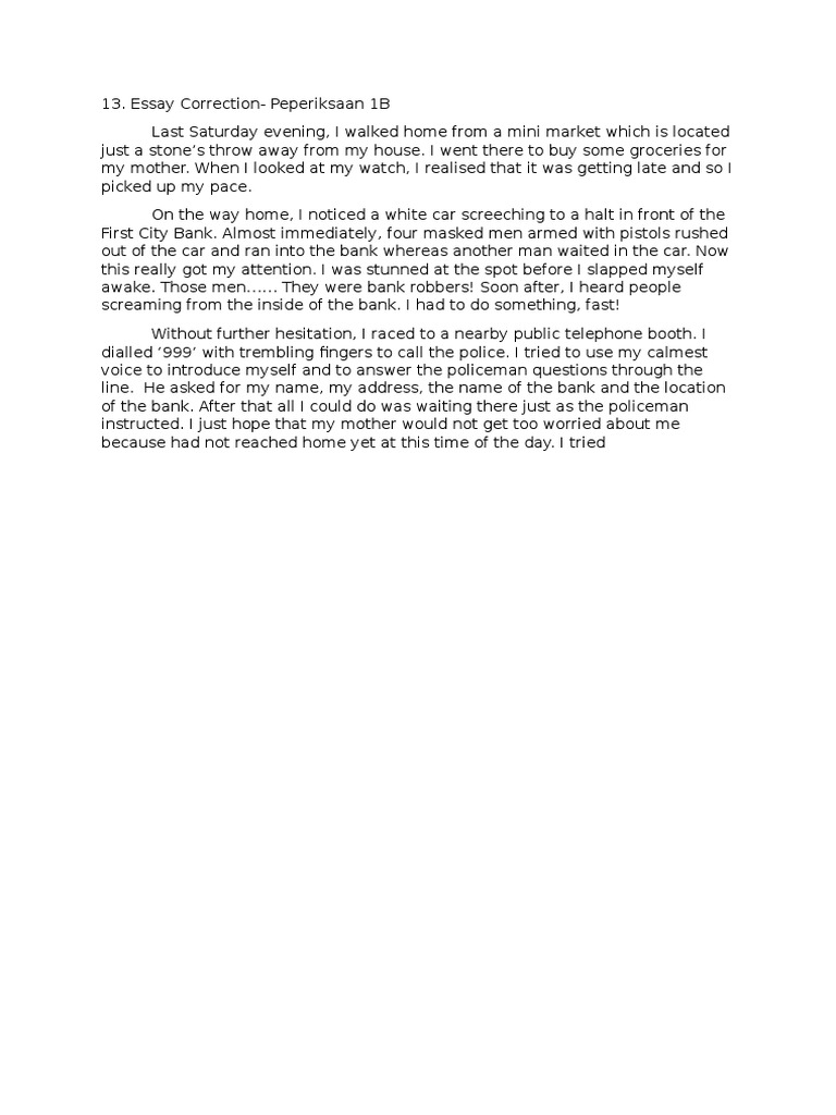 books on essay writing pdf