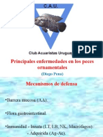 Enfermedades de Los Peces