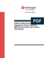 Guide to Baculovirus Expression Vector Systems (BEVS) and Insect Cell Culture Techniques