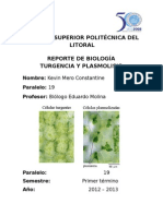 Informe de Turgencia y Plasmolisis