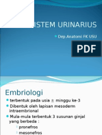 GUS1-K1 Embriologi Sistem Urinaria.ppt