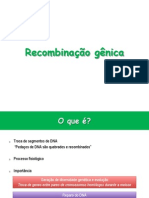 Recombinação Gênica PDF