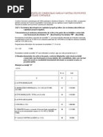 Fuziunea Societatilor Comerciale Care Au Capitaluri Proprii Negative - Precizari Contabile