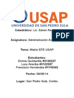 Matriz Efe para La Universidad de San Pedro Sula