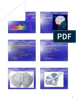 Mali Mozak PDF