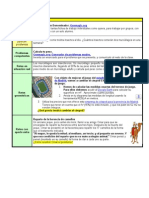 GRUPO B-B Automatización (Repetición de Cálculos) Ejercicios