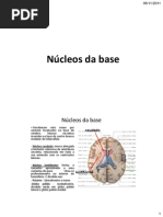 Núcleos da Base e Substância Branca 