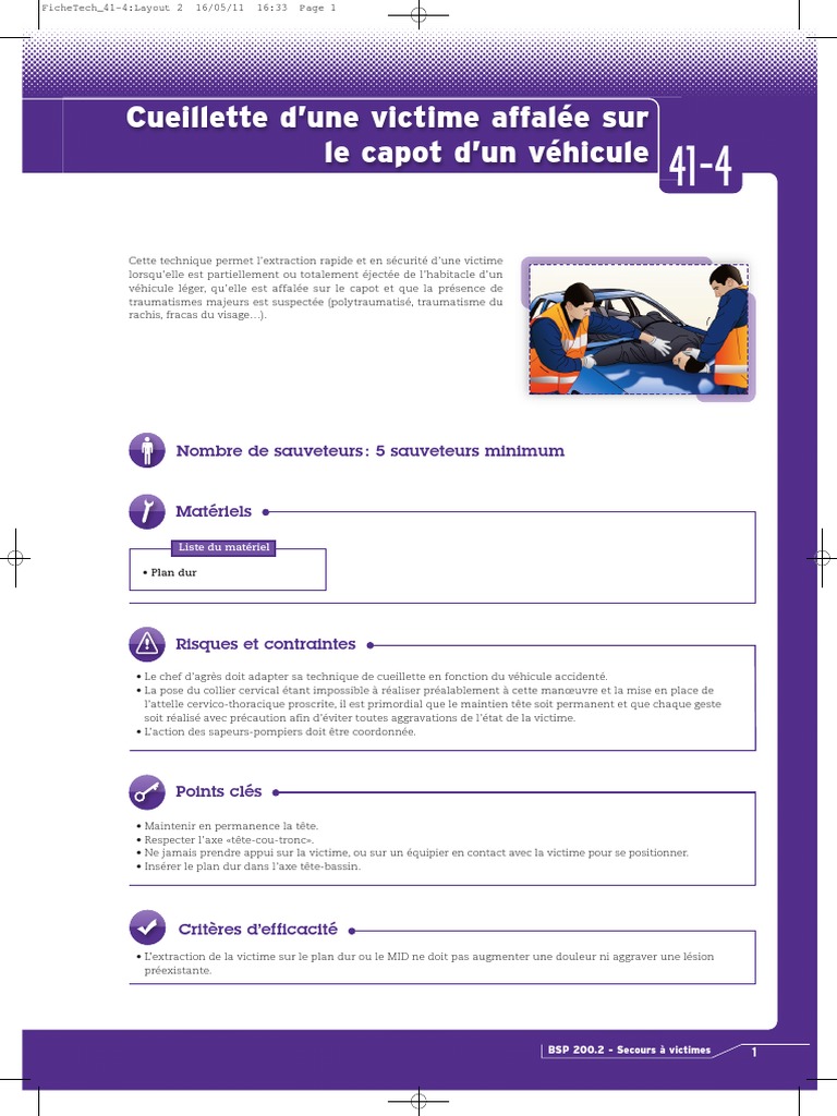 bsp 200.2 pdf