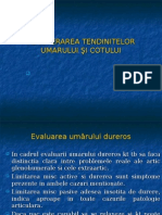 LP Recuperarea Umarului Si Cotului Posttraumatic