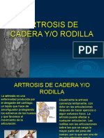 Artosis (1)