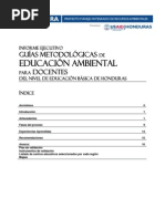 Informe Ejecutivo Sobre Las Guías Metodológicas de Educación Ambiental
