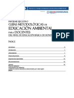 Informe Ejecutivo Sobre Las Guías Metodológicas de Educación Ambiental