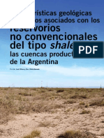 Caracteristicas de Shgfgale en Argentina