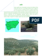 Andalucía Jaén