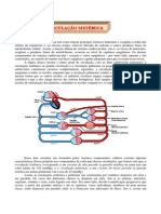 Circulação Sistêmica 2014