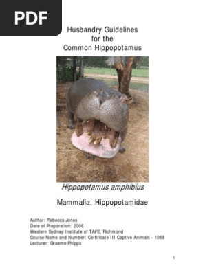 Common Hippopotamus Husbandry Guidelines Pdf Hippopotamus Hay