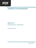 Execução de Auditoria