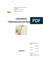 Laboratorio Determinación de Las Entalpías