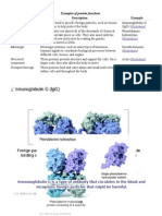 Function Description Example: 1. Antibody Enzyme