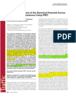 (2011) in Situ Measurement of The Electrical Potential Across The Lysosomal Membrane Using FRET