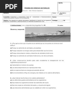 Prueba Ciencias Naturales. Cadenas Alimentarias - Cuarto