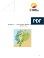 Información Bosques y Vegetación Protectores Del Ecuador