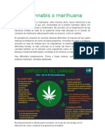 Reportaje de La Marihuana