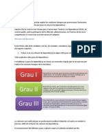 Llei de dependencia explicació