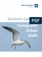 Seagull Nuisance Leaflet
