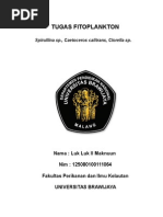 Download makalah fitoplankton by Luk Luk Il Maknuun SN273459657 doc pdf