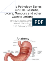 Systemic Pathology Series for MBChB III, Gastritis