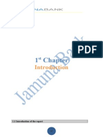 Internship Report General Banking JBL.doc
