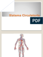 Sistema Cardiovascular PDF