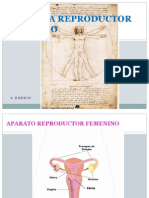 Sistema Reproductor Humano