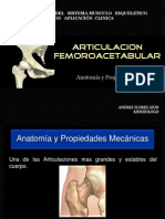 Anatomia y Propiedades Mecanicas PDF