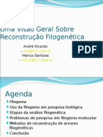 Reconstrucao Filogenetica Das Algas