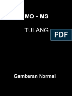 Mo - Ms Tulang