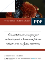 OS SENTIDOS.pdf