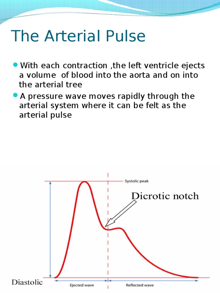 The Arterial Pulse Pulse Cardiovascular System Free 30day Trial