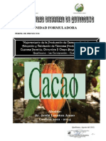 PIP CACAO Yanatile para DGPI PDF